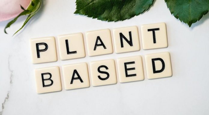 Going Vegan: It’s Not As Difficult As You Think Image: Letter tiles that spell "Plant Based" (Going Vegan: It's Not As Difficult As You Think Sandra Jacquemin Contributor Miami Mom Collective)