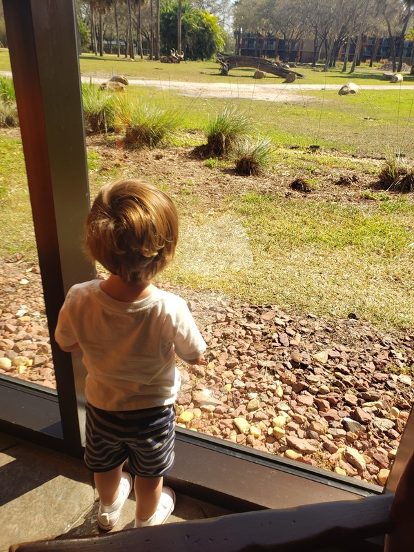 Marcelo enjoying the view of the savannah from the Sanaa restaurant (Sandra Jacquemin Contributor Miami Mom Collective)