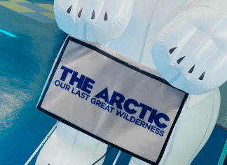 Now Showing at MODS! The Arctic: Our Last Great Wilderness Now Showing at MODS! The Arctic: Our Last Greatest Wilderness