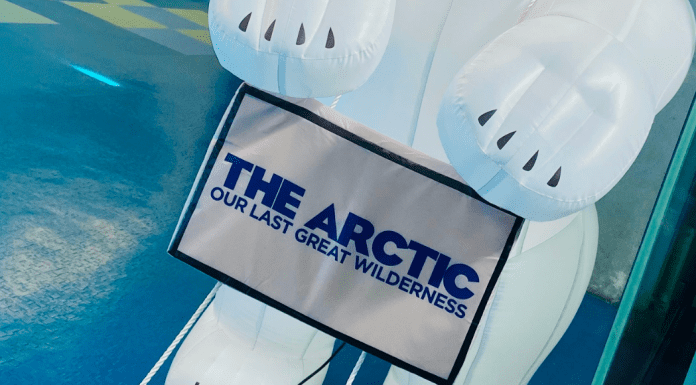 Now Showing at MODS! The Arctic: Our Last Great Wilderness Now Showing at MODS! The Arctic: Our Last Greatest Wilderness