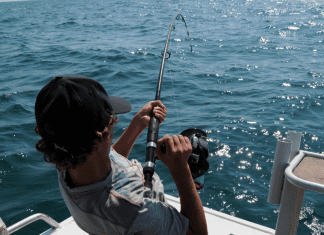 5 Creative Birthday Party Ideas for Teenage Boys in Miami Meredith Kallaher Miami Mom Collective
