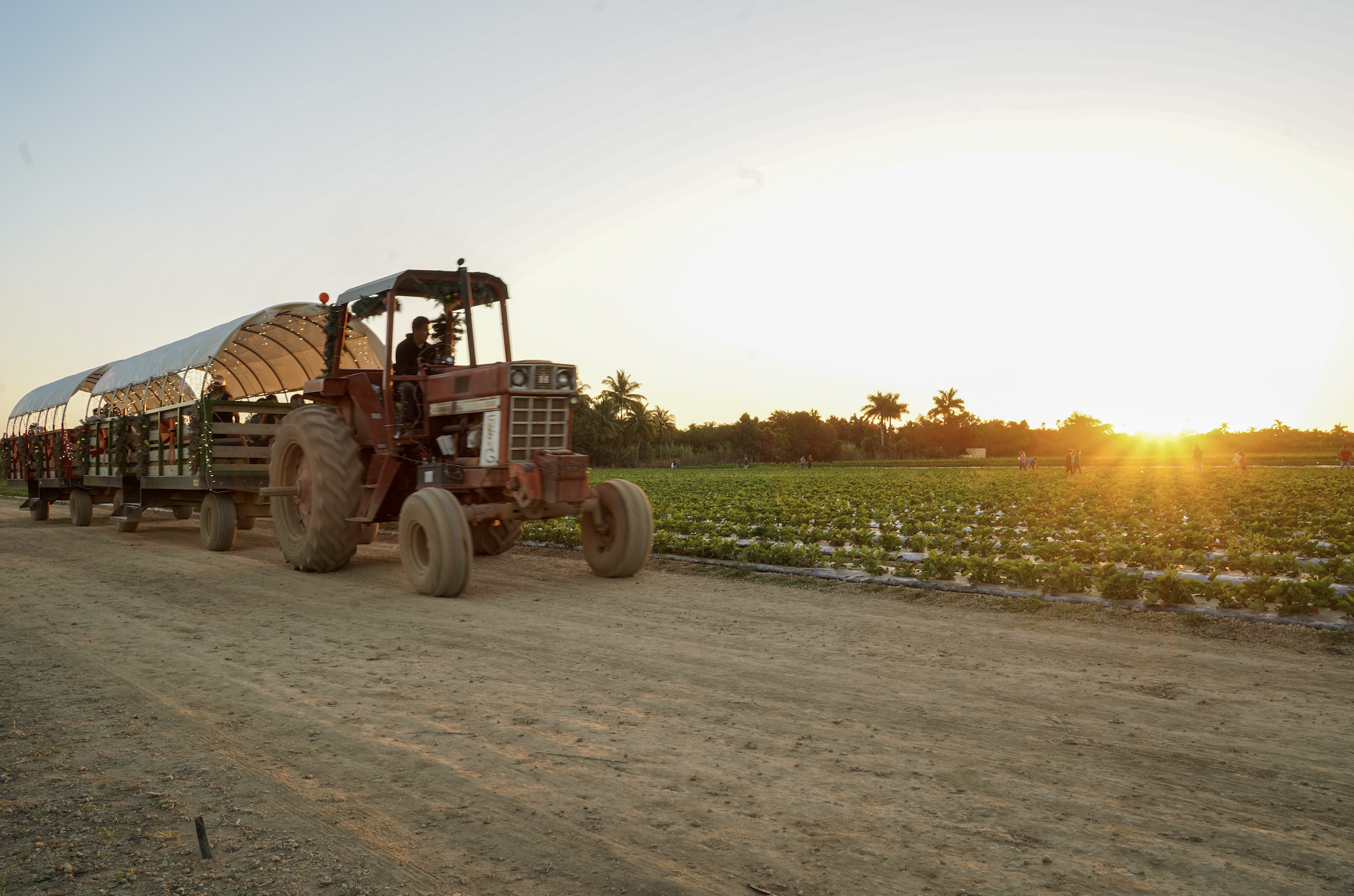 Miami Mom Collective 3rd Birthday Bash at The Berry Farm 