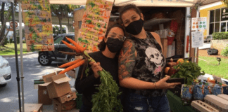 Love Where You Live: Why I Love Living in South Miami South Miami farmers market (Love Where You Live: Why I Love Living in South Miami Kristen Llorca Contributor Miami Mom Collective)