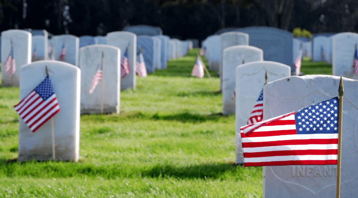 Memorial Day: Making It Memorable for the Whole Family American flags in a cemetery (Memorial Day: Making It Memorable for the Whole Family Rachel Hulsund Contributor Miami Mom Collective)