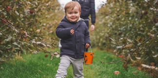 Toddler Shoes: 4 Things to Look for Image: a little boy walks in front of his mother towards the camera in an apple orchard. He is smiling, carrying a bucket, and wearing a jacket, sweatpants, and Adidas sneakers. (Toddler Shoes: What to Look for Brittany Aquart Contributor Miami Mom Collective)