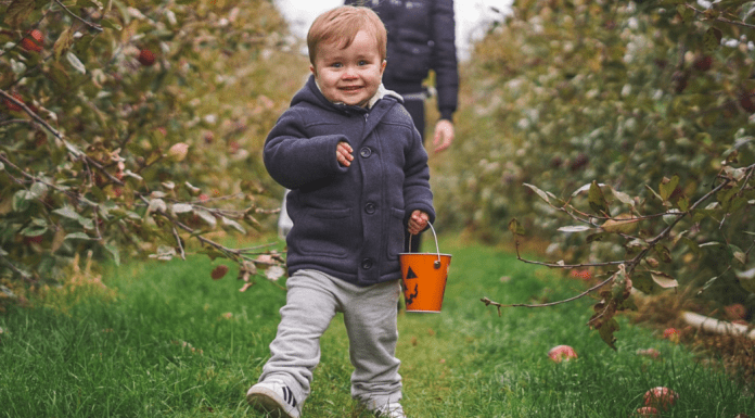 Toddler Shoes: 4 Things to Look for Image: a little boy walks in front of his mother towards the camera in an apple orchard. He is smiling, carrying a bucket, and wearing a jacket, sweatpants, and Adidas sneakers. (Toddler Shoes: What to Look for Brittany Aquart Contributor Miami Mom Collective)