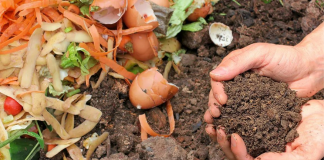 A compost pile (Composting: What You Need to Get Started Kristina Fiorentino Contributor Miami Mom Collective)