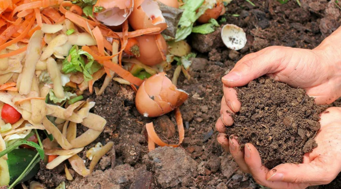 Composting: What You Need to Get Started A compost pile (Composting: What You Need to Get Started Kristina Fiorentino Contributor Miami Mom Collective)