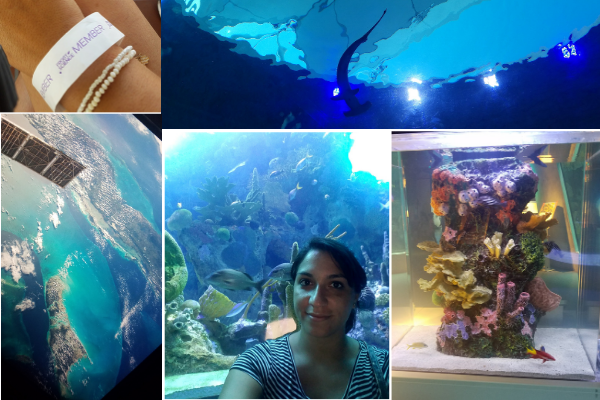 Frost Science Museum (Minerva Roca Contributor Miami Mom Collective)