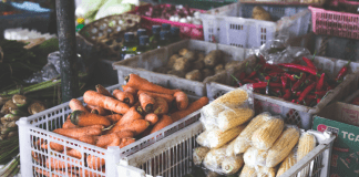 Love Where You Live: Why I Love Living in Homestead Fresh vegetables at a local farm stand (Love Where You Live: Why I Love Living in Homestead Kristina Fiorentino Contributor Miami Mom Collective)