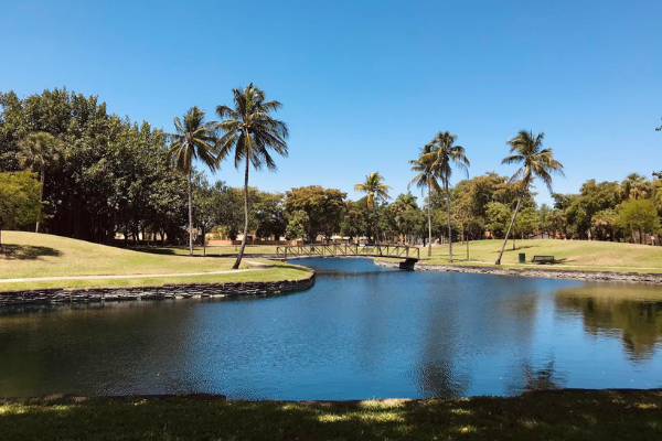 Miami Lakes (Love Where You Live: Why I Love Living in Miami Lakes Jacqueline Jebian Garcia Contributor Miami Mom Collective)