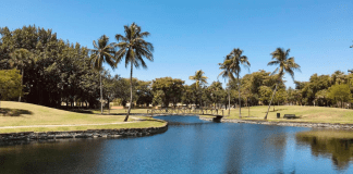 Love Where You Live: Why I Love Living in Miami Lakes Miami Lakes (Love Where You Live: Why I Love Living in Miami Lakes Jacqueline Jebian Garcia Contributor Miami Mom Collective)