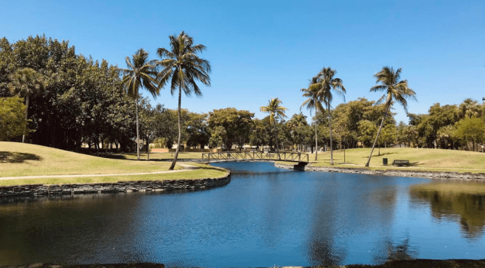 Love Where You Live: Why I Love Living in Miami Lakes Miami Lakes (Love Where You Live: Why I Love Living in Miami Lakes Jacqueline Jebian Garcia Contributor Miami Mom Collective)