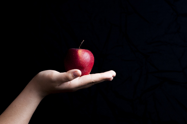 A child's hand holding an apple (Lorena Lougedo Contributor Miami Mom Collective)