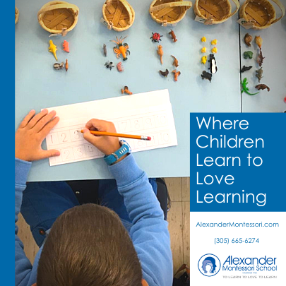 Alexander Montessori School Miami Mom Collective Private Schools Guide