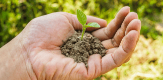 A handful of soil (Earth Day: 5 Meaningful Ways to Celebrate! Ana-Sofia DuLaney Contributor Miami Mom Collective)