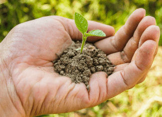 Earth Day: 5 Meaningful Ways to Celebrate! A handful of soil (Earth Day: 5 Meaningful Ways to Celebrate! Ana-Sofia DuLaney Contributor Miami Mom Collective)