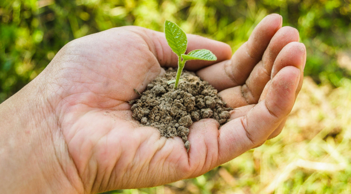 Earth Day: 5 Meaningful Ways to Celebrate! A handful of soil (Earth Day: 5 Meaningful Ways to Celebrate! Ana-Sofia DuLaney Contributor Miami Mom Collective)
