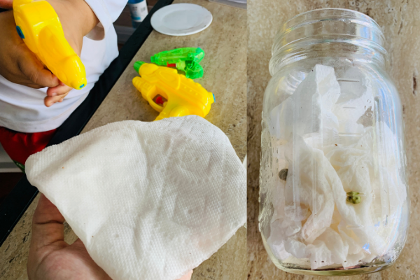 Image: Seeds planted in a jar