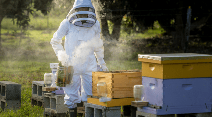 Kristina in her beekeeper suit, tending to her bees (Beekeeping: How the Bees Found Me Kristina Fiorentino Contributor Miami Mom Collective)
