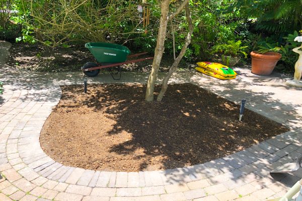 Aymee's garden spot (Florida Garden: Start Yours During National Gardening Month Aymee Blanco Contributor Miami Mom Collective)