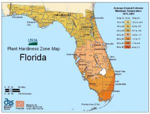 USDA Plant Hardiness Zone Map (Florida Garden: Start Yours During National Gardening Month Aymee Blanco Contributor Miami Mom Collective)