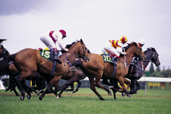 Horses racing (Love Where You Live: Why I Love Living in Hialeah Lorena Lougedo Contributor Miami Mom Collective)
