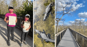 Enjoying Everglades National Park (Everglades National Park: Perfect for a Family-Friendly Adventure Vanessa Santamaria Contributor Miami Mom Collective)