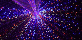 Christmas Lights: Where to Enjoy Some Holiday Magic in Miami Christmas Lights: Where to Enjoy Some Holiday Magic in Miami Vanessa Santamaria Contributor Miami Mom Collective