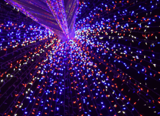 Christmas Lights: Where to Enjoy Some Holiday Magic in Miami Vanessa Santamaria Contributor Miami Mom Collective