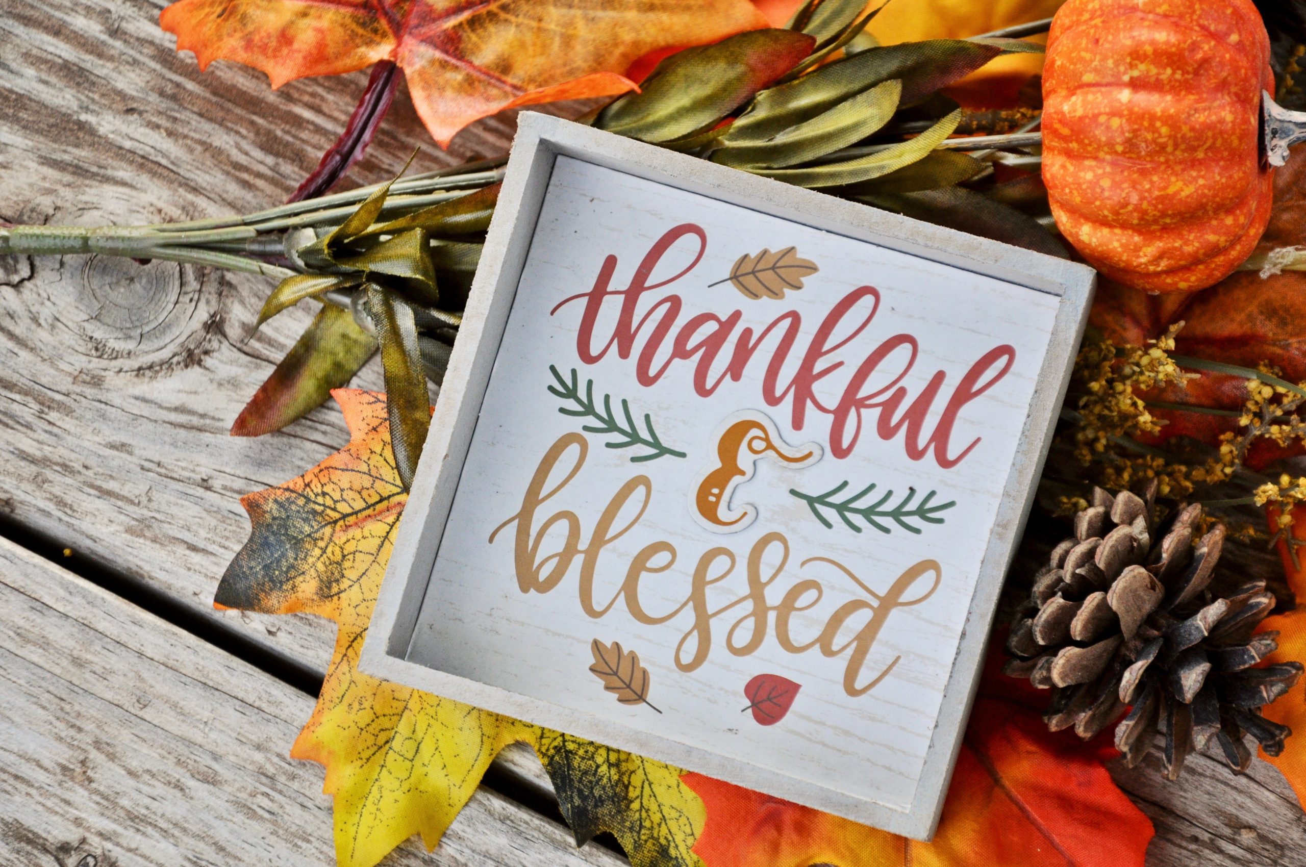 3 Ways to Practice Gratitude With Your Kids | Dr. Bob Pediatric Dentist Lynda Lantz Contributor Miami Mom Collective