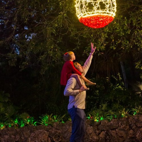 Pinecrest Gardens The Ultimate Guide to 2020 Holiday Events and Activities in Miami Lynda Lantz Contributor Miami Mom Collective