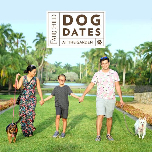 Fall Events & Activities Guide: Things To Do Around Miami Miami Mom Collective Becky Salgado