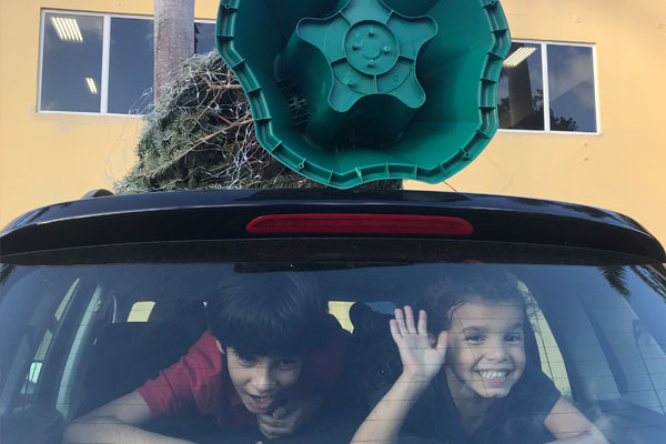 kids in back of car with Christmas tree on top