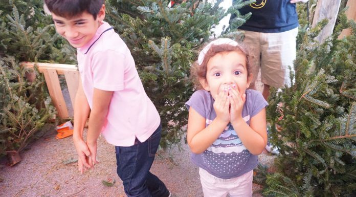 Keeping It Real: Christmas Trees and Our Happy Family Memories girl excited picking christmas tree