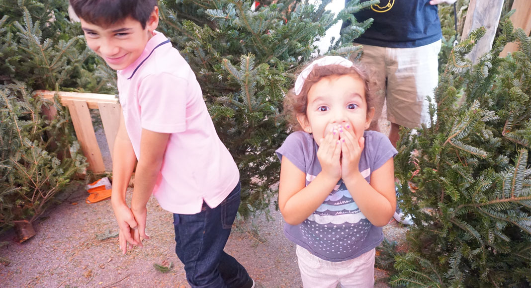 girl excited picking christmas tree