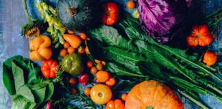 Fall Gardening Guide: Tips and Ideas for Gardening in Miami! Ana-Sofia DuLaney