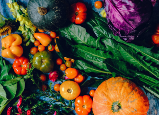 Fall Gardening Guide: Tips and Ideas for Gardening in Miami Fall Gardening Guide: Tips and Ideas for Gardening in Miami! Ana-Sofia DuLaney