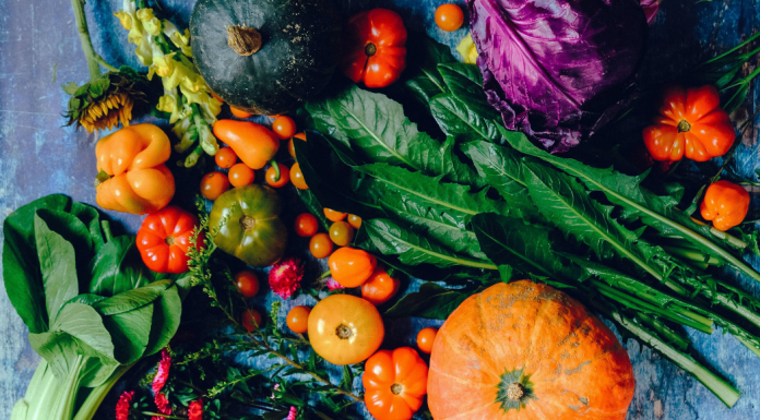 Fall Gardening Guide: Tips and Ideas for Gardening in Miami! Ana-Sofia DuLaney