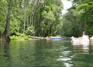 Ichetucknee Springs: Summer Fun at a Hidden Gem {Road Trip Series}