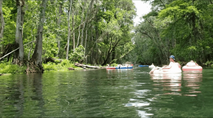 Ichetucknee Springs: Summer Fun at a Hidden Gem {Road Trip Series}
