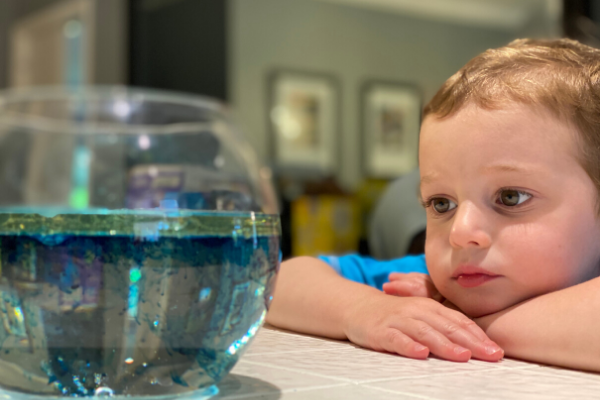 Stacey Geiger Contributor Miami Moms Blog