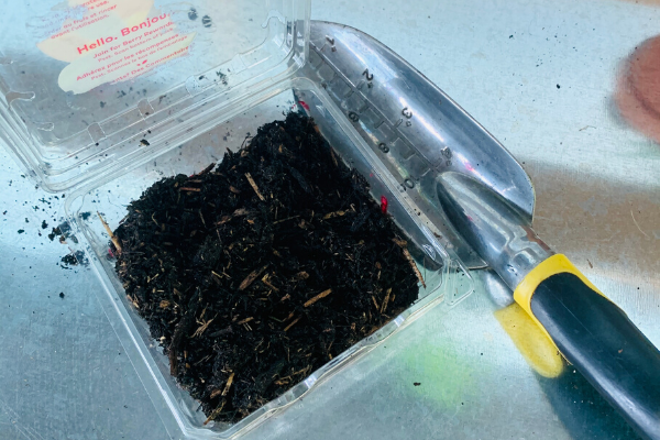 National Garden Week: Fun Ways to Celebrate Ana-Sofia DuLaney Contributor Miami Moms Blog