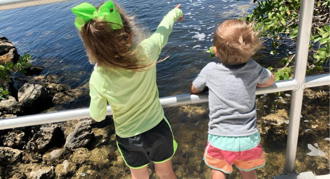 Black Point Marina and Park: Mommy's Hidden Gem Dianna Hill Contributor Miami Moms Blog