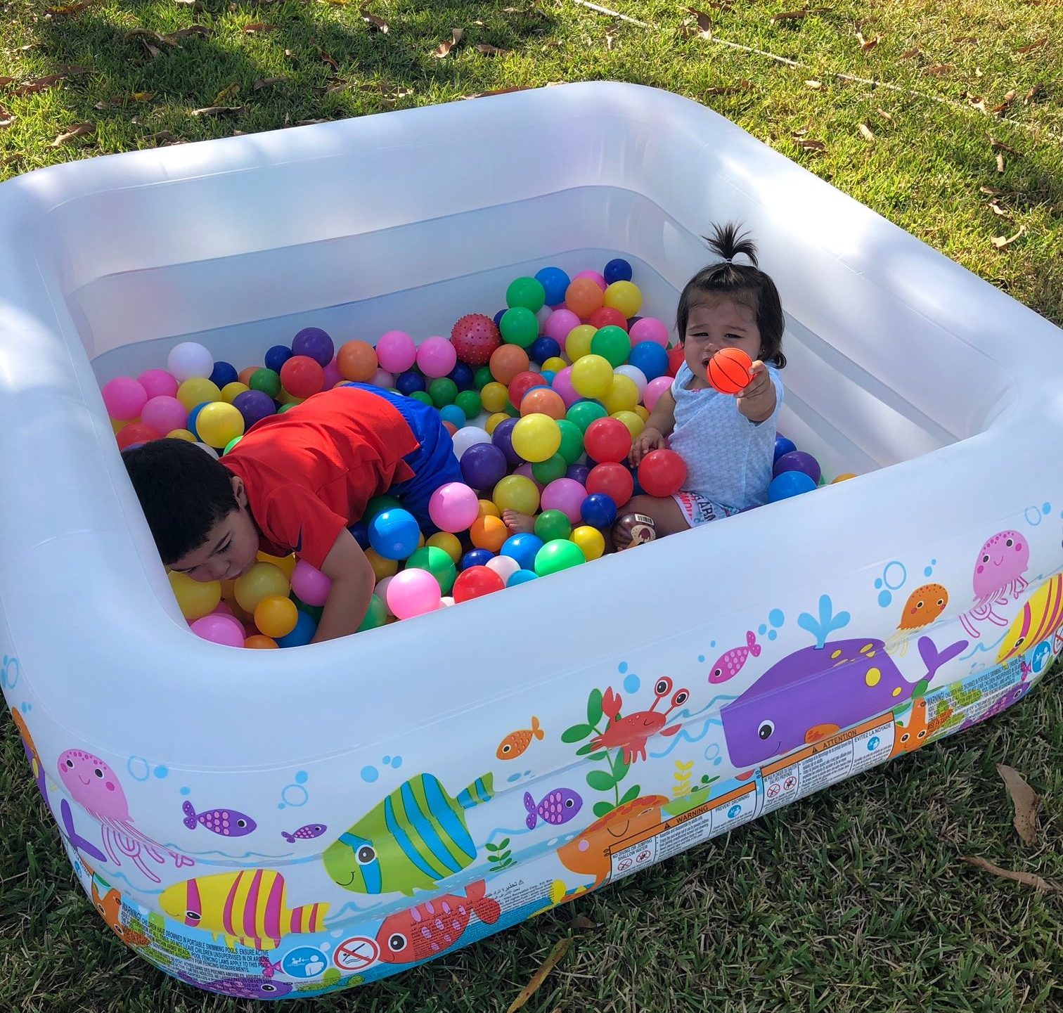 Fun Things to Do at Home With the Kids? Ask Dr. Bob Lynda Lantz Contributor Miami Moms Blog