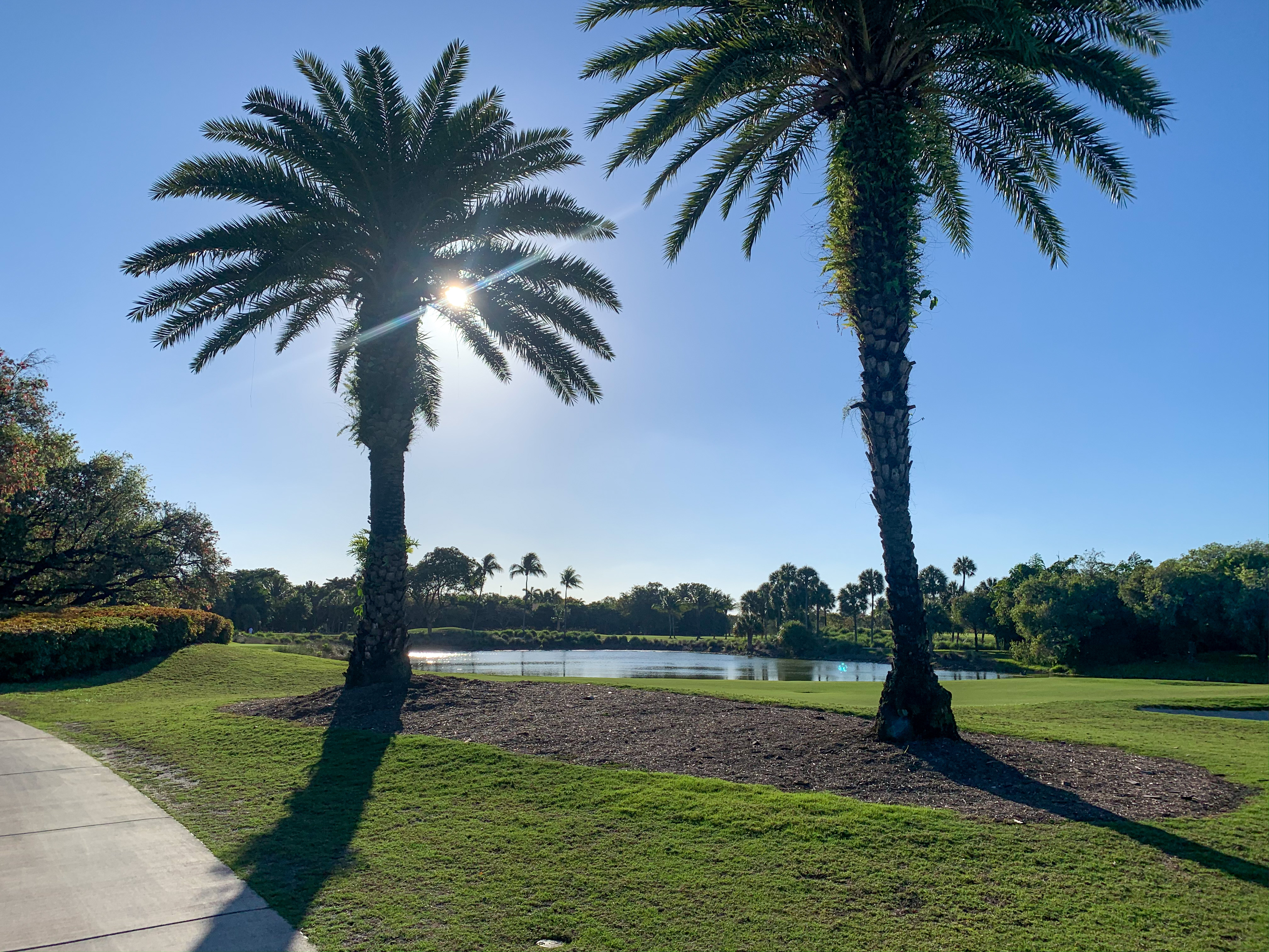 The Quarantine & What It Has Taught Me Bella Behar Contributor Miami Moms Blog