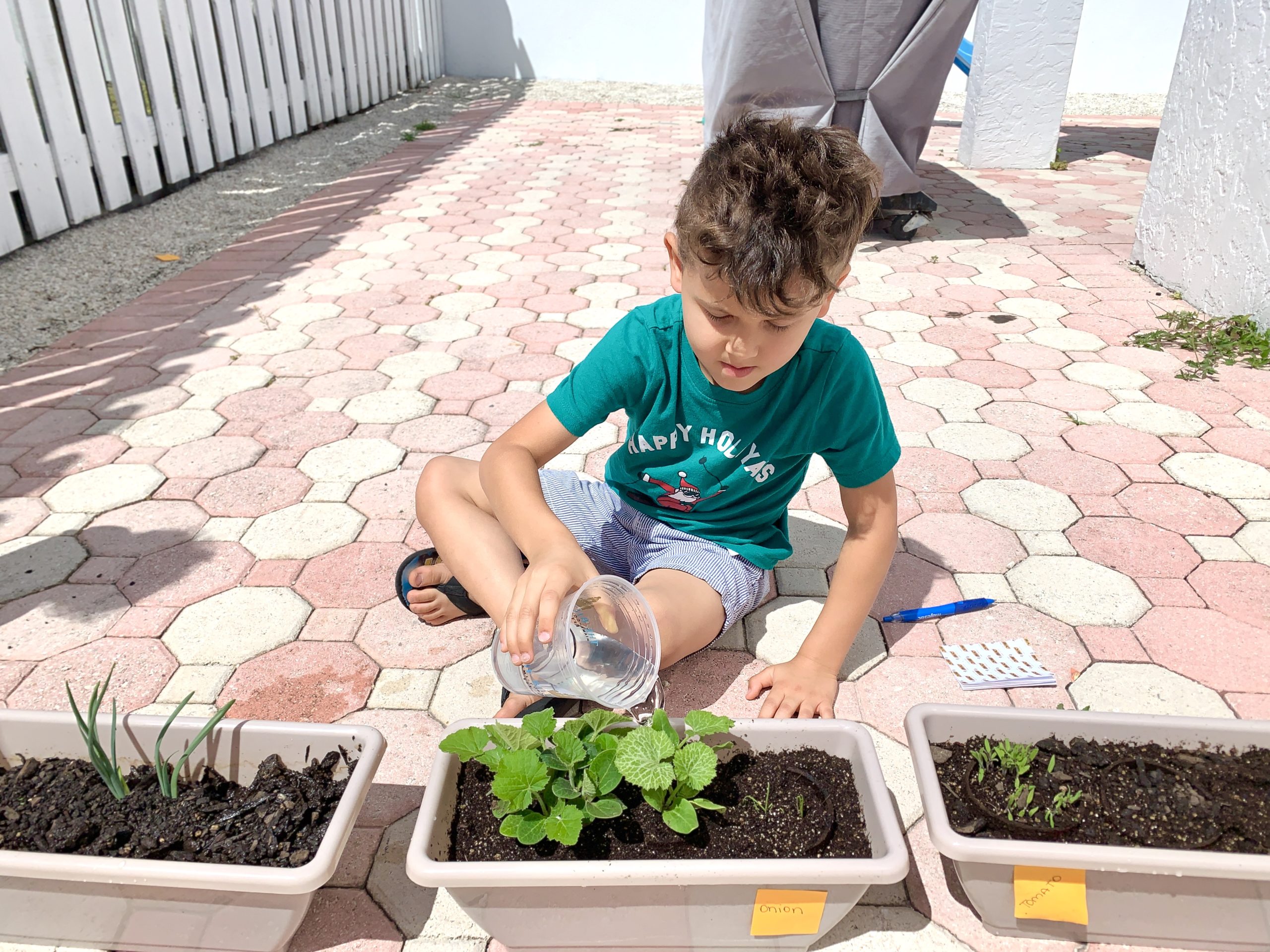 Horta caseira: atividade educativa e divertida para fazer com as crianças - MIami Moms Blog - Renata Brissi