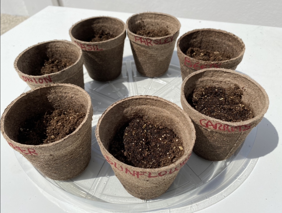 Horta caseira: atividade educativa e divertida para fazer com as crianças - MIami Moms Blog - Renata Brissi