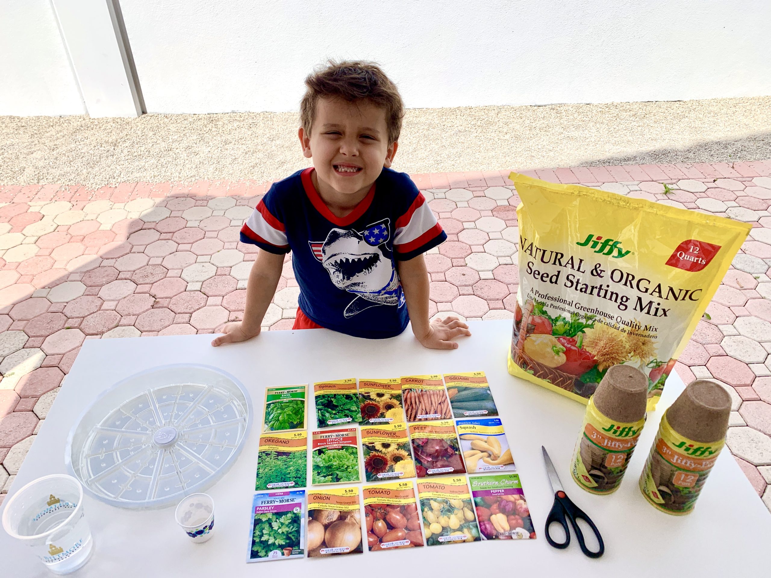 Horta caseira: atividade educativa e divertida para fazer com as crianças