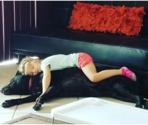 Puppy Survival: Welcoming the New Member of the Family Ailyn Quesada Contributor Miami Moms Blog